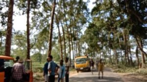 ছবিতে কমলা রঙ্গের গাড়ি থেকে নামছেন বাগান ব্যবস্থাপক জয়নাল আবেদীন।ছবি দুপুরের দিকে রামগড় চা বাগান থেকে তোলা