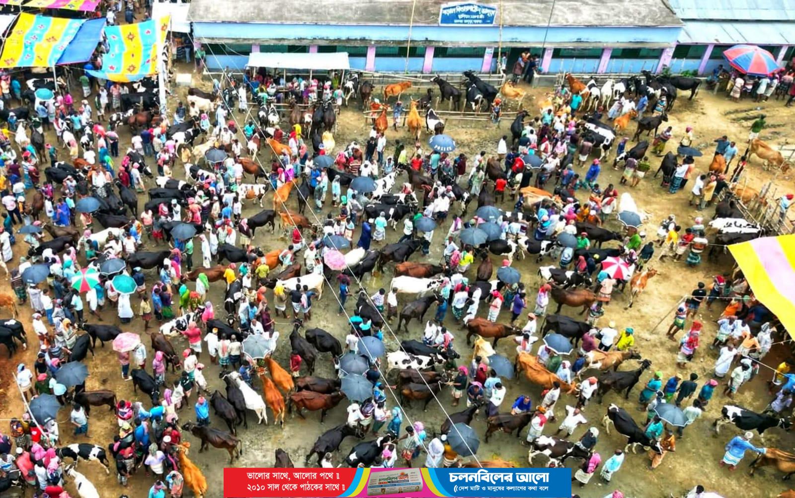 ছবি: পাবনার ভাঙ্গুড়া উপজেলার ঐতিহ্যবাহী শরৎনগর পশুর হাট।