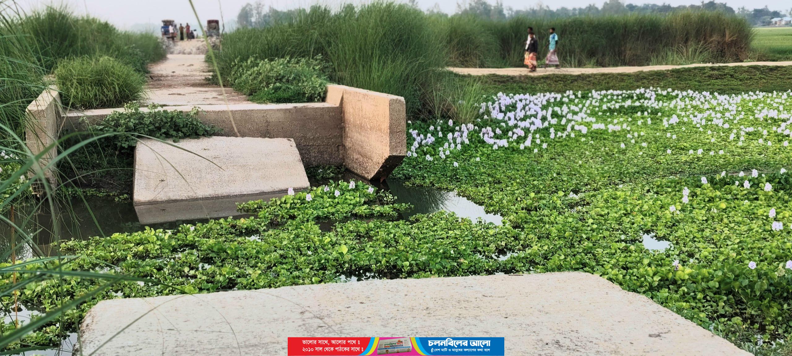 ছবি: পাবনার ভাঙ্গুড়ার অষ্টমনিষা ইউনিয়নের বাঁশবাড়িয়া এলাকার বিধ্বস্ত সাবমারসিবল সড়ক।