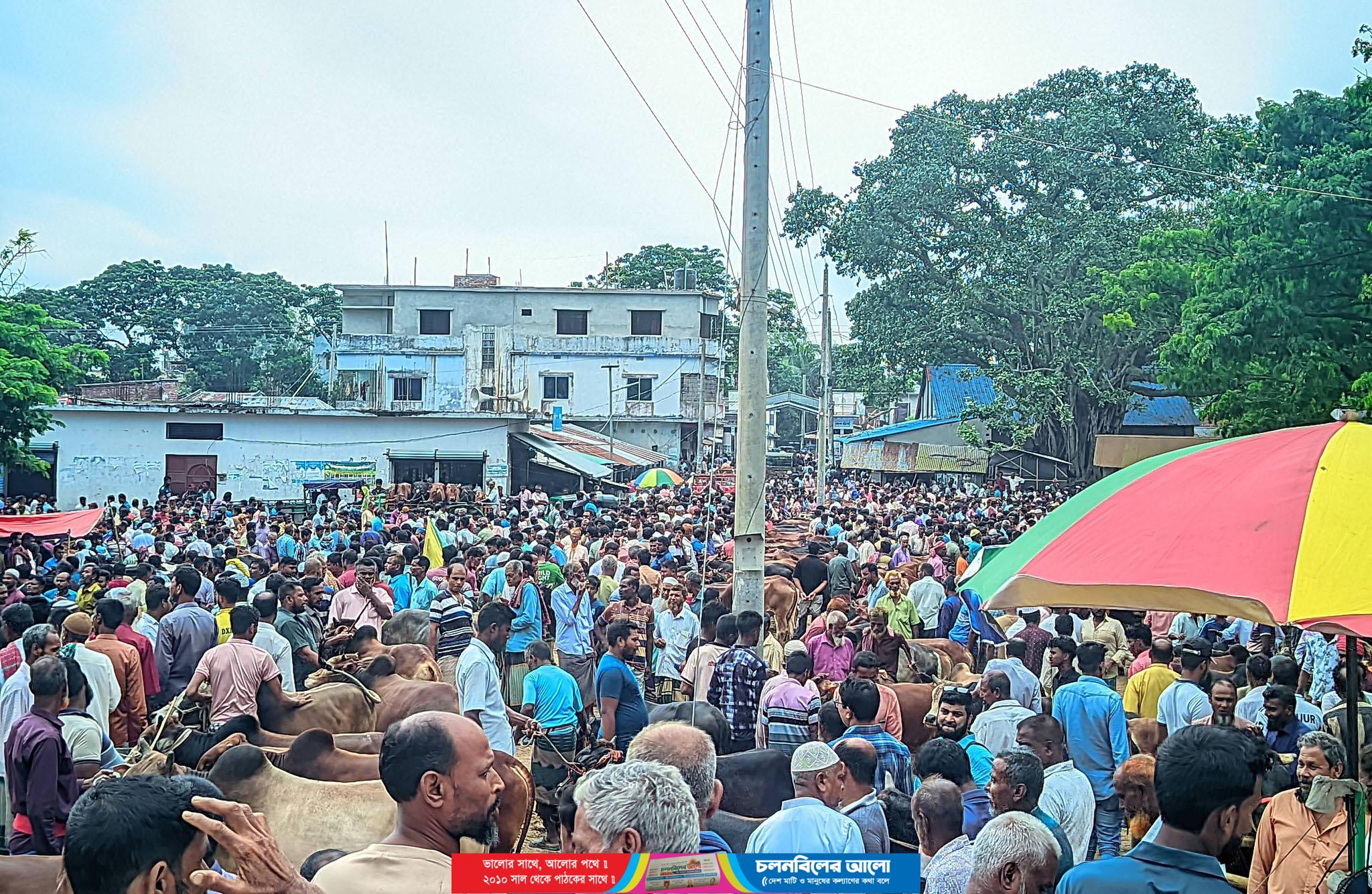 রাণীনগরে হাটে গরু কিনতে এসে লাখ টাকা খোয়া গেল ক্রেতার