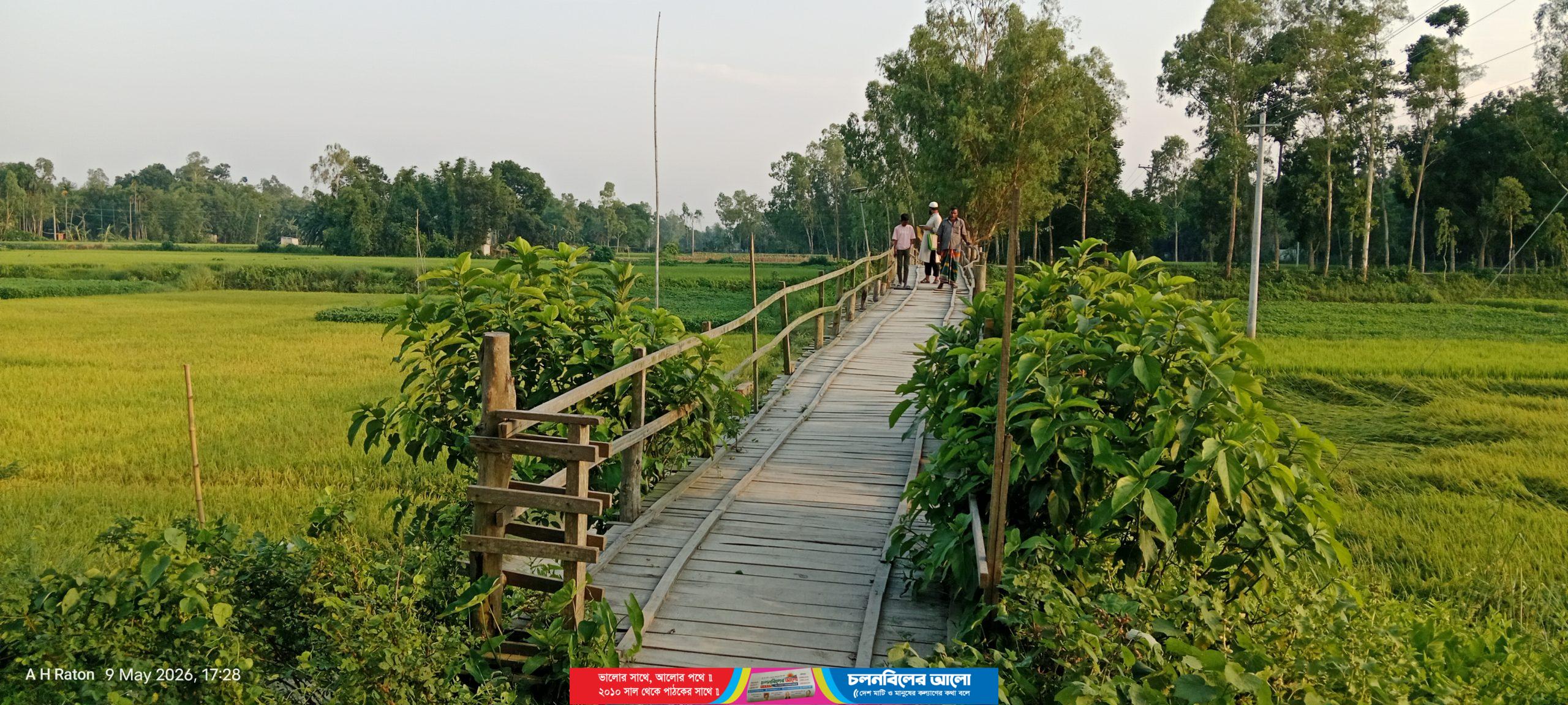 নাগরপুরে নড়বড়ে সাঁকোটি ৯ গ্রামের মানুষের ভরসা 