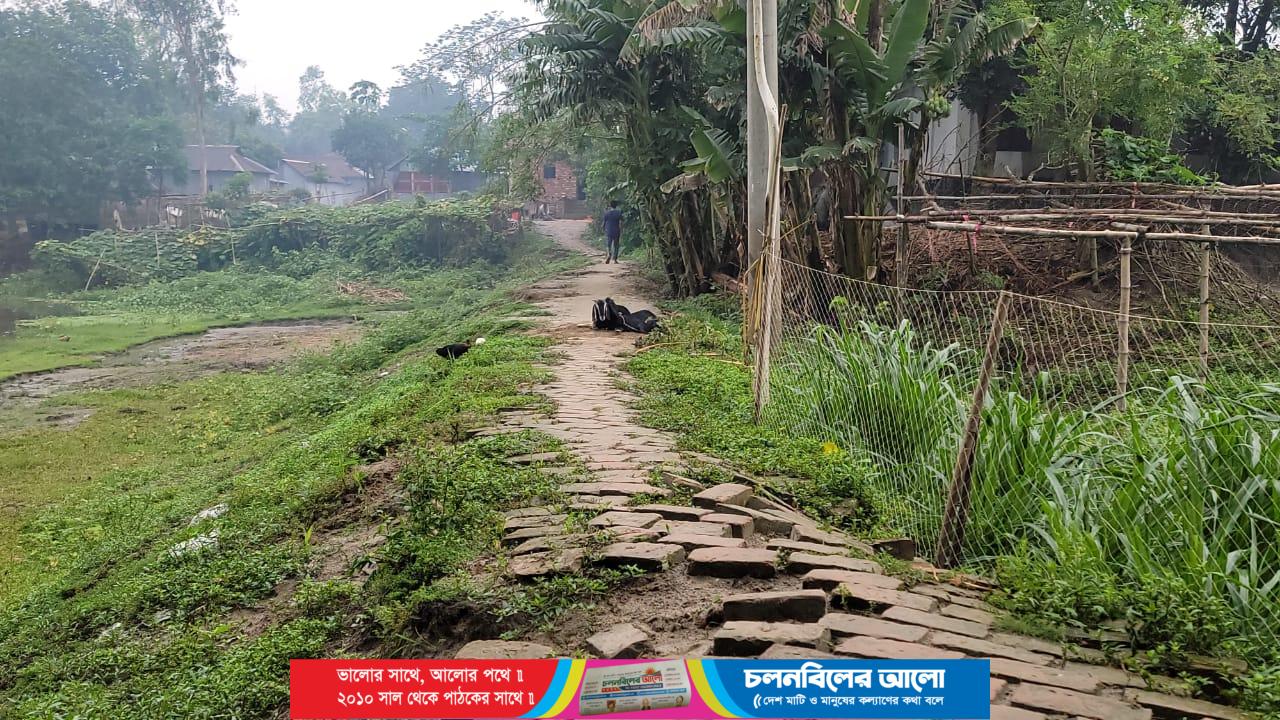 সরকারি রাস্তার ইট তুলে ইউপি সদস্যের বাড়িতে পাকা বাথরুম, ক্ষোভে ফুঁসছে গ্রামবাসী