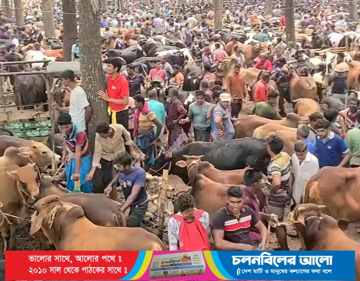 কোরবানিকে ঘিরে সরগরম সলঙ্গা পশুর হাট