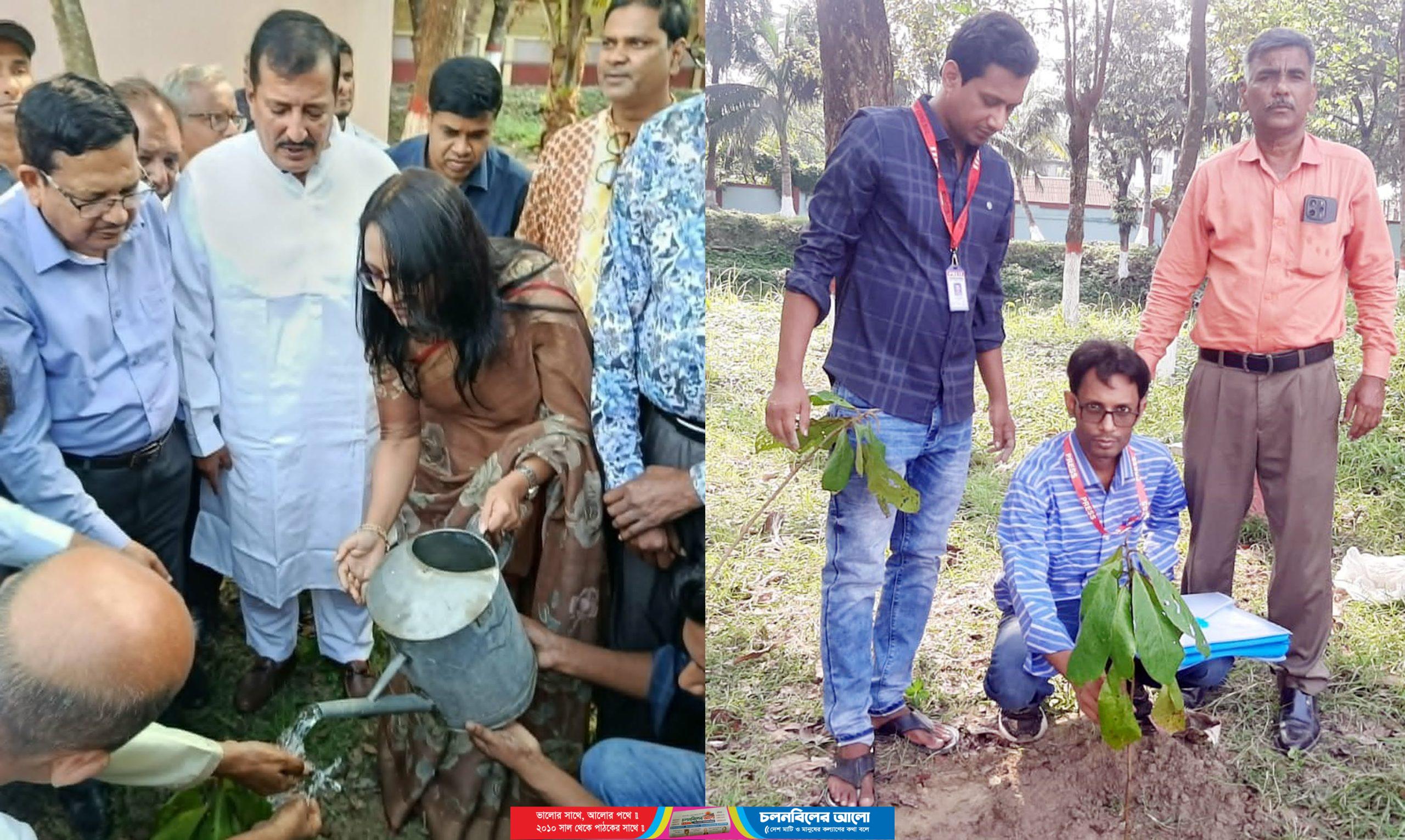পাবনায় ইয়াং জার্নালিস্টের বৃক্ষরোপণ