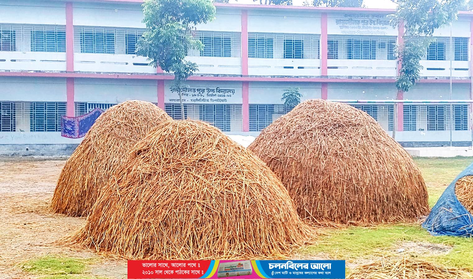 কৃষকদের উঠানে পরিণত হয়েছে সিরাজগঞ্জ রায়দৌলতপুর উচ্চ বিদ্যালয় মাঠ