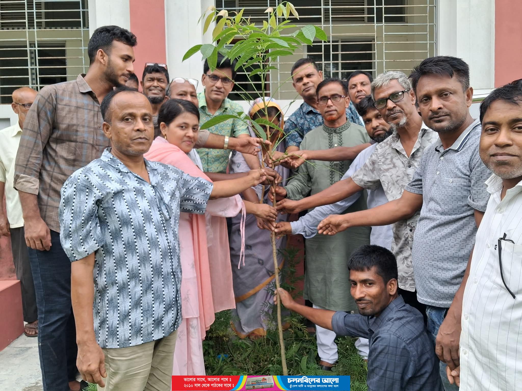 সলঙ্গার আঙ্গারু এস.এ বালিকা বিদ্যালয়ে বৃক্ষরোপণ