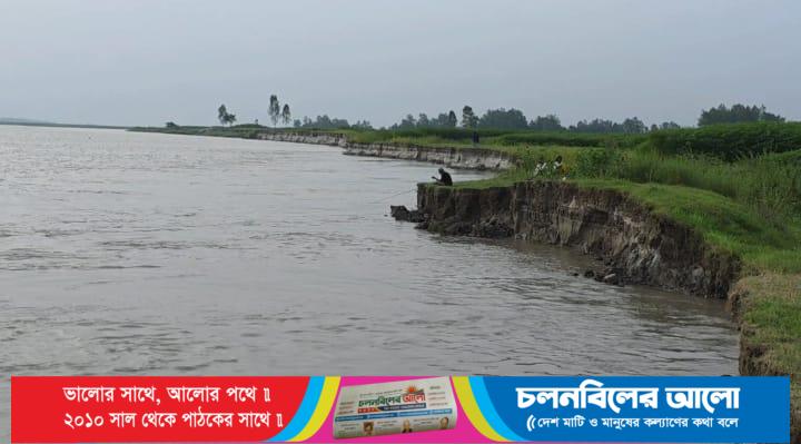 গোপালপুরে যমুনার ভাঙনে বিলীন বসতভিটা-আবাদি জমি, হুমকিতে বন্যা নিয়ন্ত্রণ বাঁধ