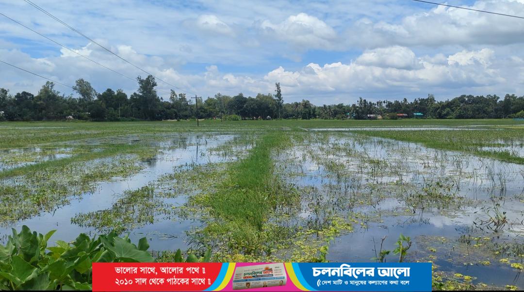 গোপালপুরের জলাবদ্ধতায় ২০০-২৫০ বিঘা ফসলি জমি অনাবাদি, স্থায়ী সমাধানের দাবি কৃষকদের