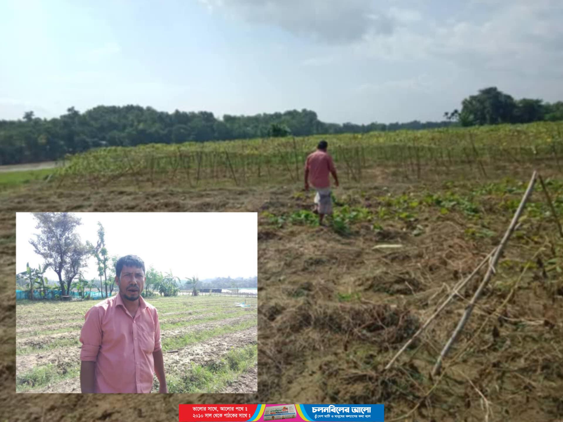 বমু বিলছড়িতে বন্যায় কৃষক আজিজ এর সবজি ক্ষেত নষ্ট ; আড়াই লাখ টাকার ক্ষতি