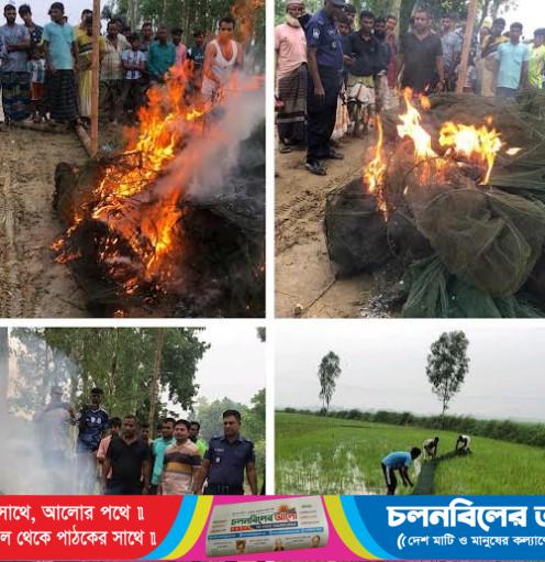 চাটমোহরে যৌথ অভিযানে ৫০ পিস চায়না দুয়ারী জাল জব্দ, জনসম্মুখে পুড়িয়ে ধ্বংস