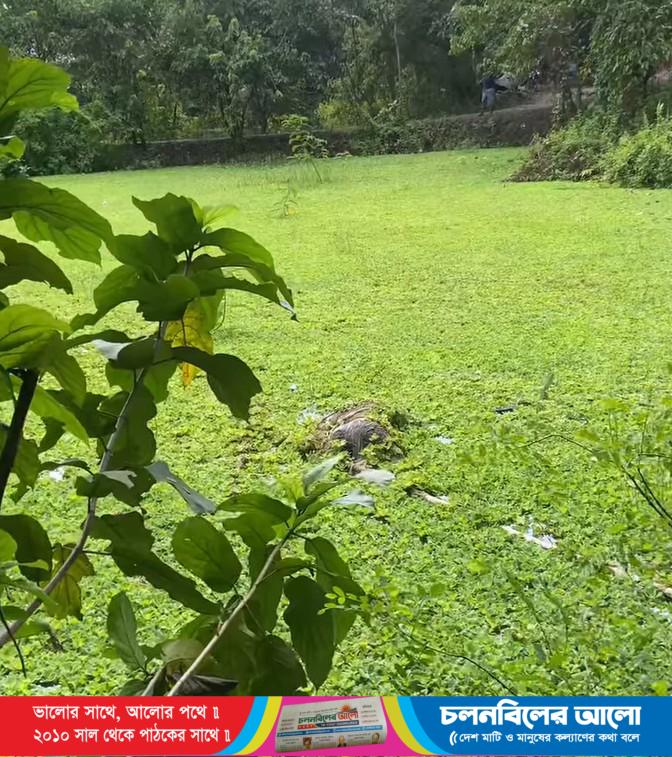 মানিকগঞ্জে পুকুর থেকে ভাসমান মরদেহ উদ্ধার