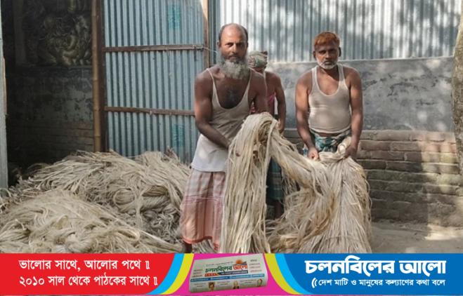সিরাজগঞ্জে সোনালী আঁশ পাট কাটা ও প্রক্রিয়াজাতকরণে ব্যস্ত প্রান্তিক চাষী