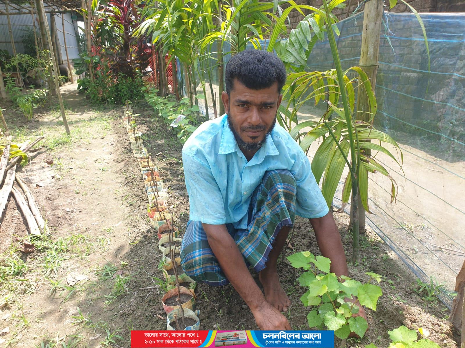 রুহিয়ায় আঙুরের চারা উৎপাদনে সফল উদ্যোক্তা জুয়েল রানা বাড়ছে চাষিদের আগ্রহ, দূর-দূরান্ত থেকে আসছেন ক্রেতা