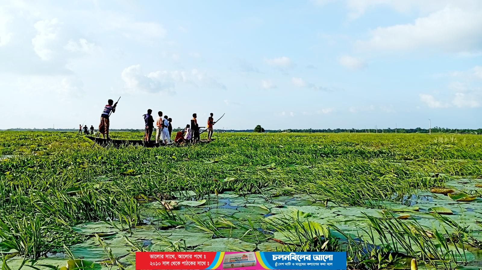 পদ্মের রাজ্যে ফুল নেই, আছে শুধু পাতা