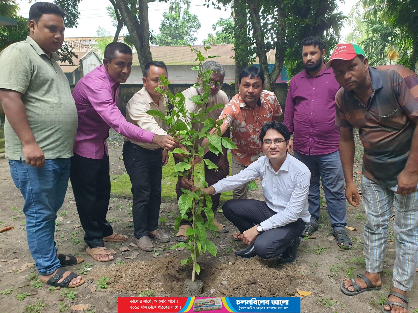 রুহিয়ায় গাছের চারা বিতরণ, অস্থায়ী কার্যালয়ে বৃক্ষরোপণের উদ্বোধন করলেন ইউএনও