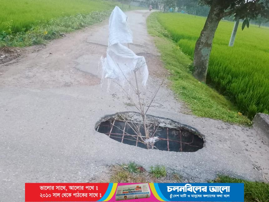 ঢোলারহাট থেকে ব্যারিস্টার স্কুল পর্যন্ত সড়ক বেহাল দশা, চরম দুর্ভোগে এলাকাবাসী