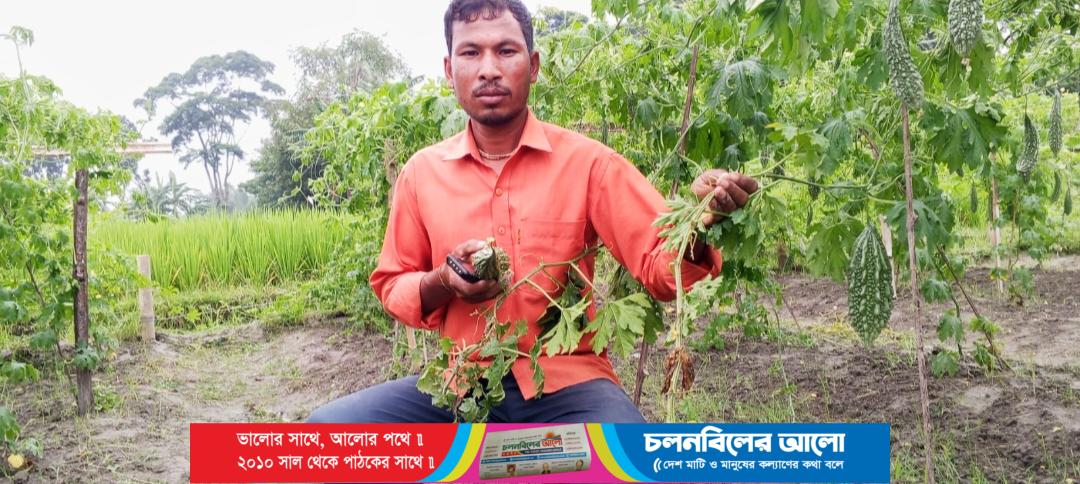 ছাগল খোঁয়াড়ে দেওয়ায় রাতের আঁধারে ফলন্ত করলা ক্ষেত কেটে ধ্বংসের অভিযোগ