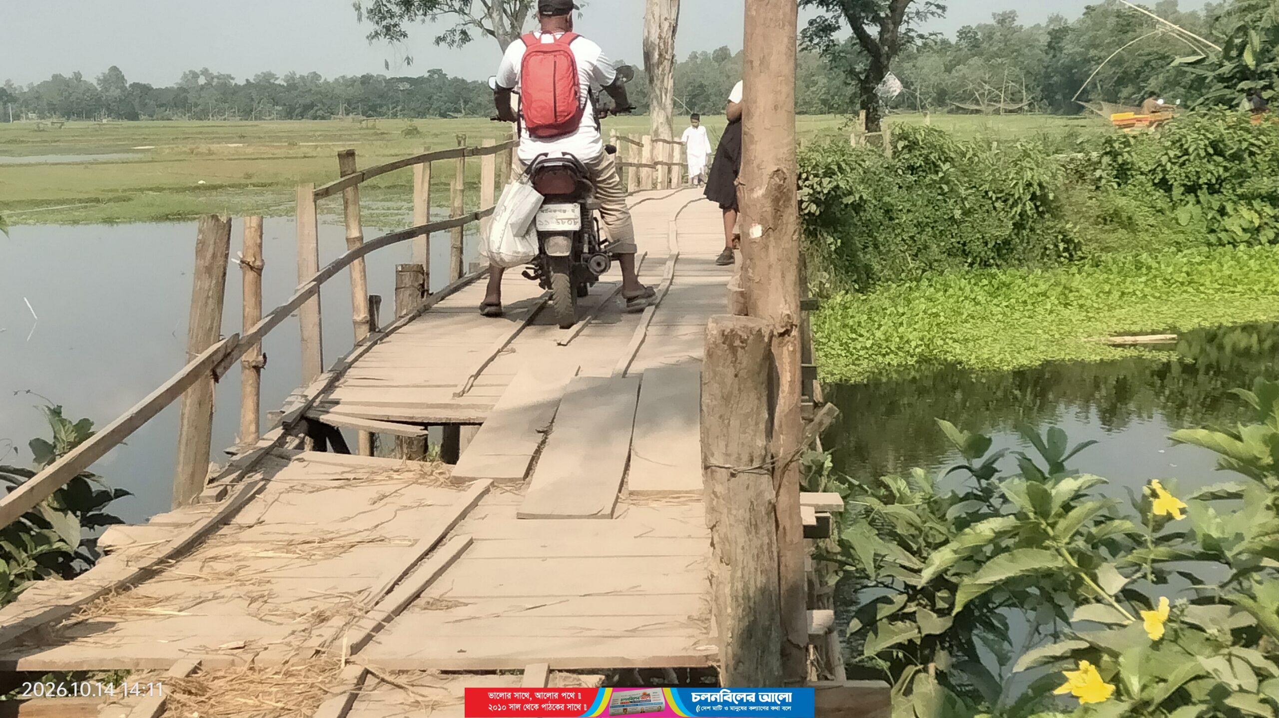 চৌহালীতে কালের সাক্ষী রেহাই পুকুরিয়া উত্তরপাড়ার জরাজীর্ণ কাঠের সাঁকো