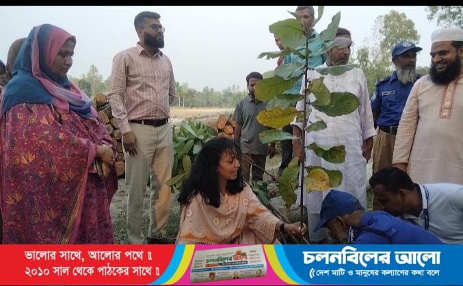 চৌহালীতে নতুন উপজেলা পরিষদে বৃক্ষরোপণ, শিক্ষা কর্মকর্তাদের সঙ্গে মতবিনিময়