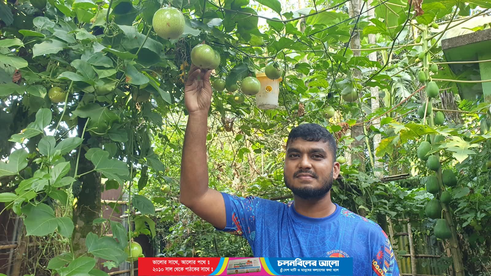 রুহিয়ায় সবুজ লতায় ঝুলছে বিদেশি আনারকলি, সফল উদ্যোক্তা রিমুন
