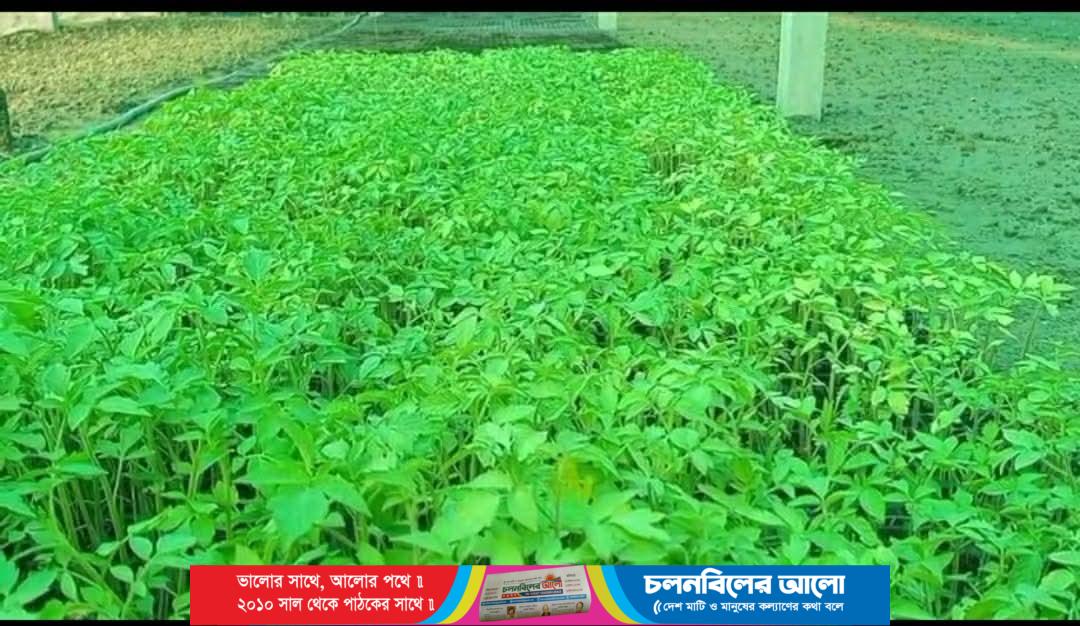 চরাঞ্চলে আধুনিক কৃষি প্রযুক্তি সম্প্রসারণ প্রকল্প পরিদর্শন 