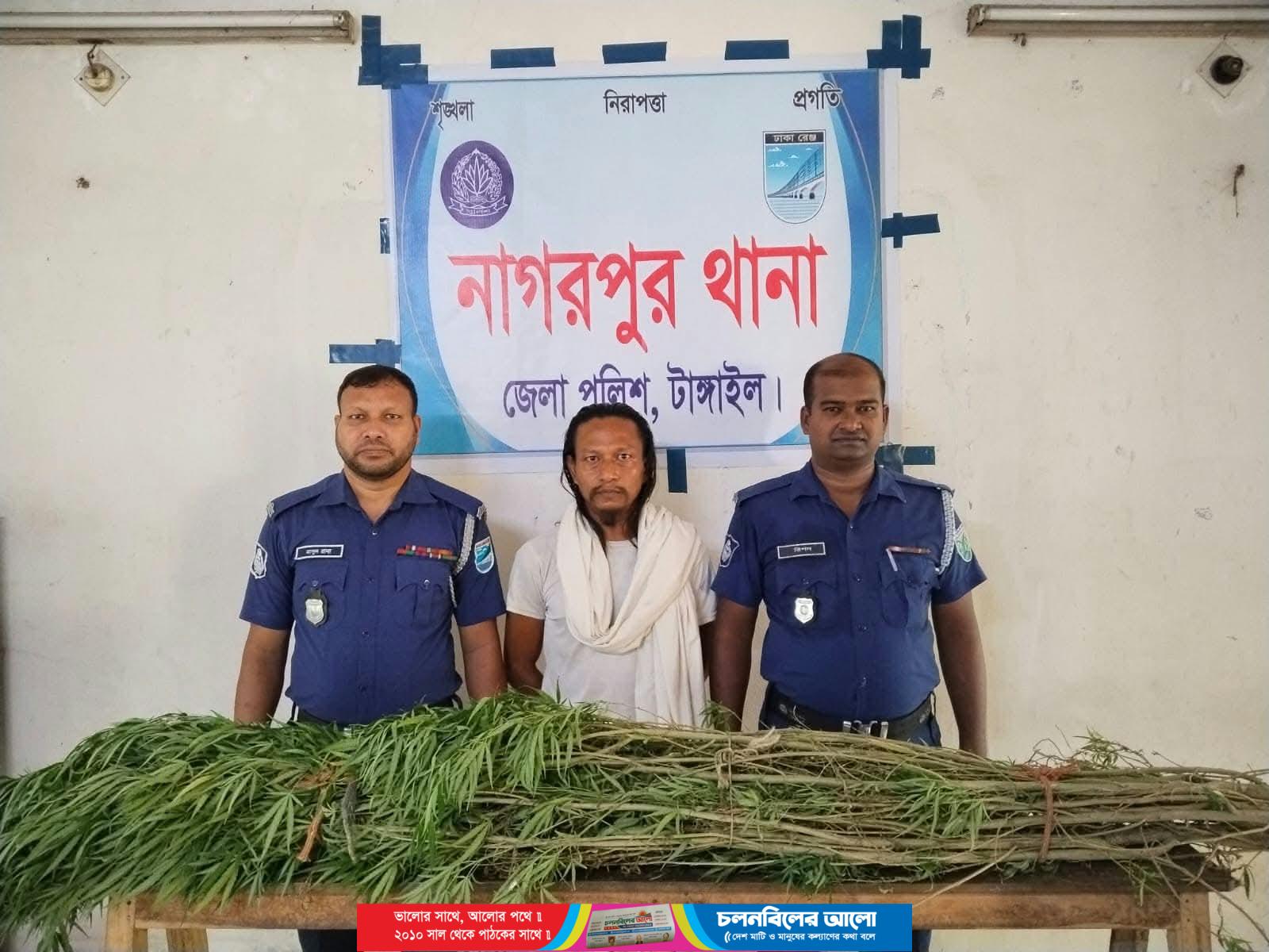 নাগরপুরে ৫টি গঁাজা গাছসহ মাদক ব্যবসায়ী রাসেল গ্রেফতার